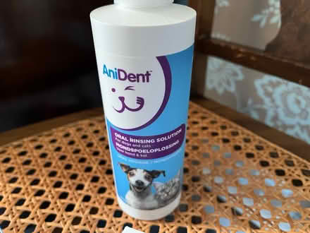 Photo of free Doggy dental supplies (CB2) #3