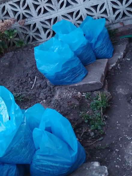 Photo of free Bags of soil (Salem OL4) #1