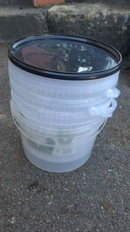 Photo of free Plastic storage tubs with lids (Highworth SN6) #1