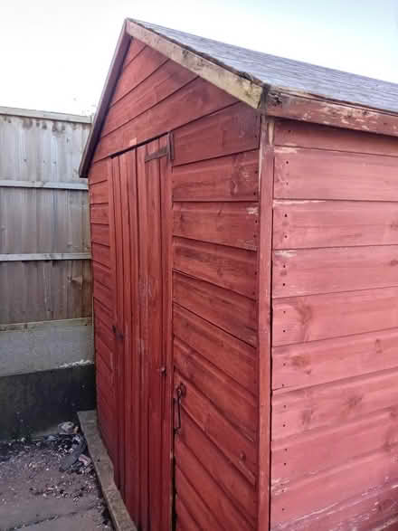 Photo of free Garden shed (Bedworth) #3
