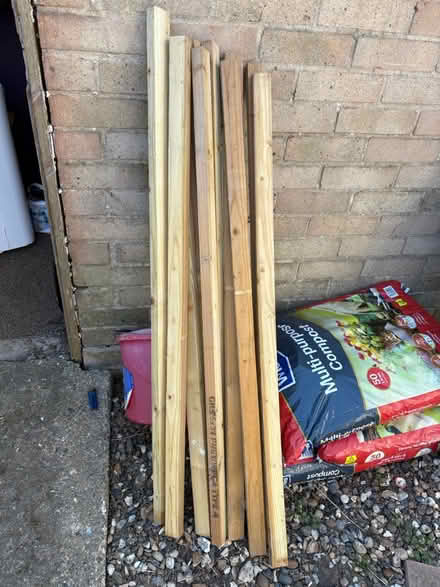 Photo of free Wooden posts (Stevenage) #3