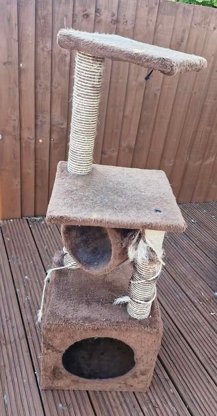 Photo of free Cat tower (HP2) #1
