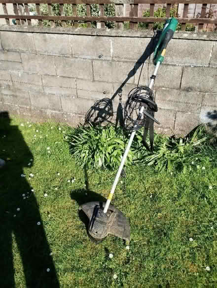 Photo of free Strimmer (Patchway BS34) #1
