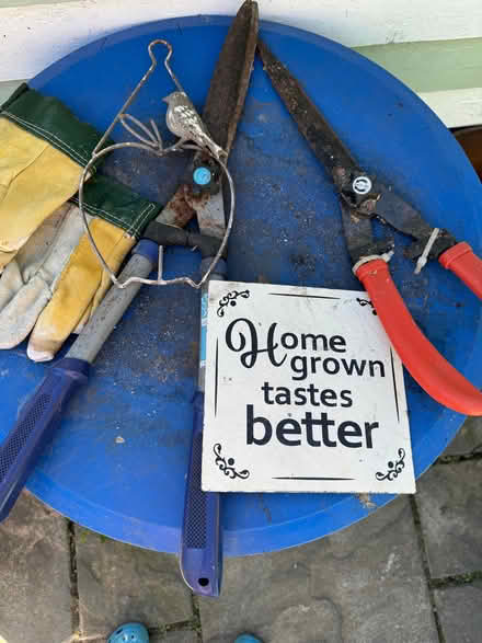 Photo of free Garden items (Stanney Oaks CH1) #1