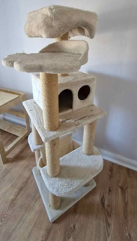 Photo of free Cat tower/scratcher (HP2) #1