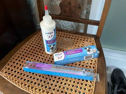 Photo of free Doggy dental supplies (CB2) #1