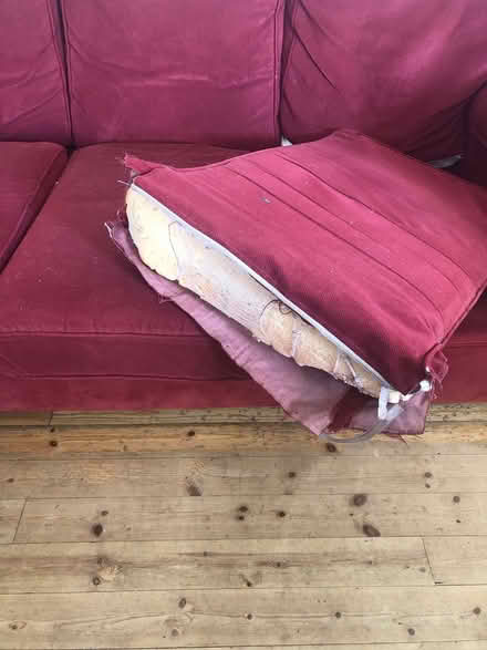 Photo of free Sofa (Sutton Park) #2