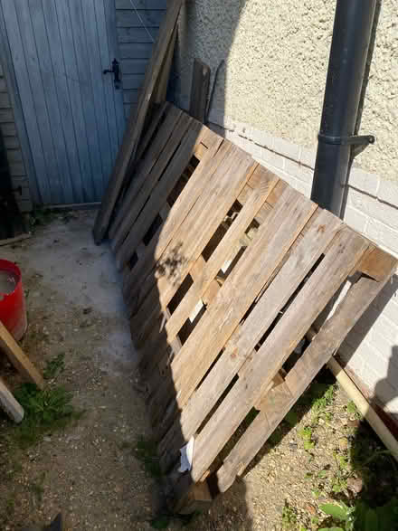 Photo of free Extra large pallet (Coxford SO16) #1