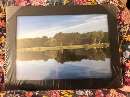 Photo of free Lovely framed photo of Fairlands Valley Lakes Stevenage (Shephall SG2) #1