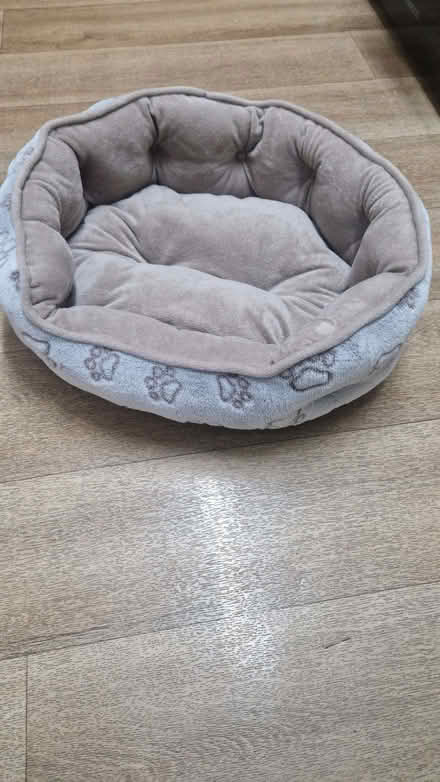 Photo of free Cat bed (Brandhall B68) #1