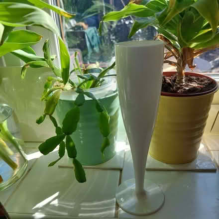 Photo of free White plastic champagne flutes (Milton PO4) #1