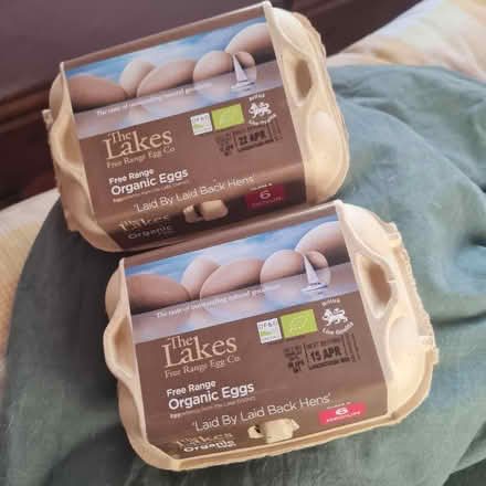 Photo of free Egg Boxes (Morda SY10) #1