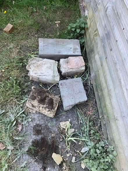 Photo of free Paving slab, breeze blocks etc (Midhurst GU29) #2