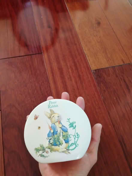 Photo of free Peter rabbit coin bank (Richmond Hill) #1