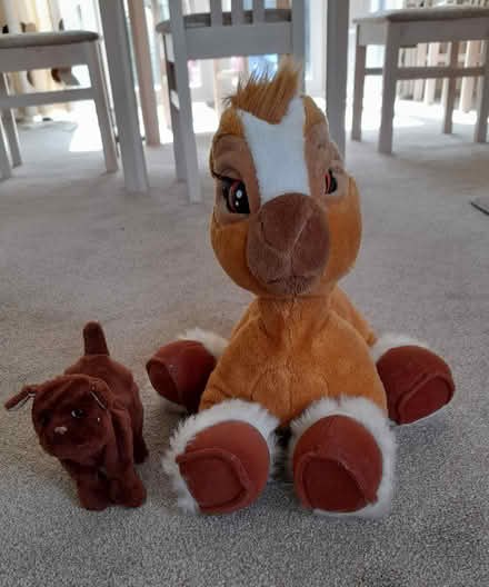 Photo of free Battery powered toys (Llandaf CF5 2QH) #2