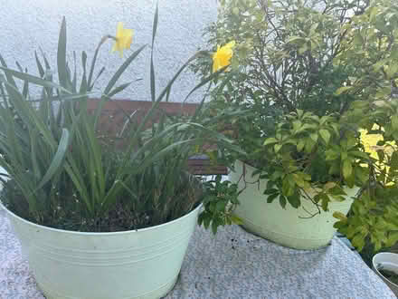 Photo of free Garden planters x 2 (Weighbridge FK9) #1