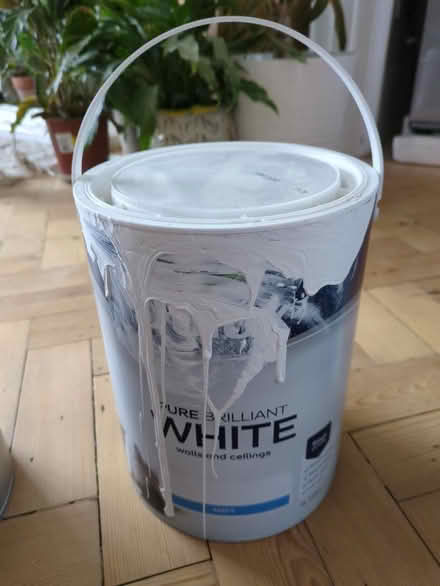 Photo of free Pure Brilliant White Paint (Enfield EN2) #1