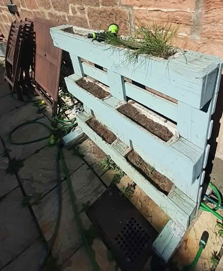 Photo of free Upcycled Herb Garden (Kilbowie Road Clydebank) #1