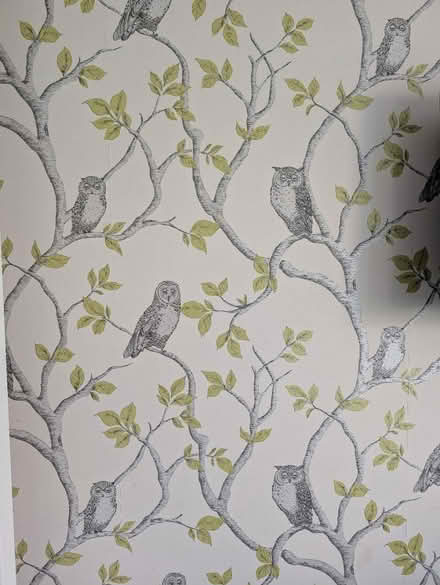 Photo of free Owl wallpaper (Sutton courtenay OX14) #1