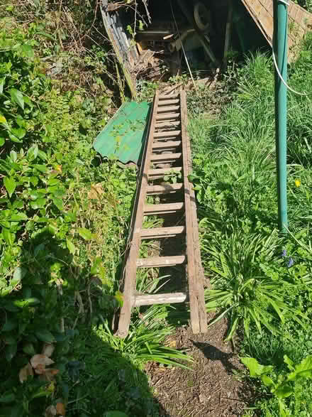 Photo of free Wooden double ladder (Chaddesden DE21) #1