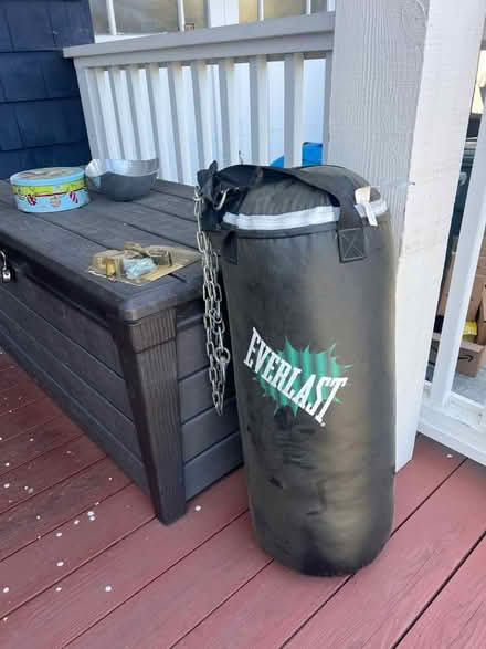 Photo of free Heavy punching bag and mount (Mountain View near Costco/101) #1