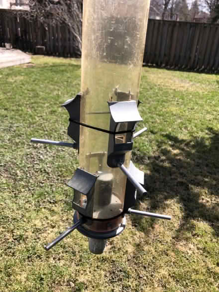 Photo of free Bird feeder (Browns Line/Lakeshore) #2
