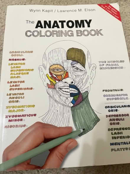 Photo of free Anatomy coloring book (Montgomeryville) #1