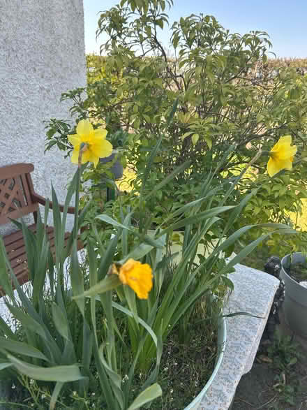 Photo of free Garden planters x 2 (Weighbridge FK9) #2