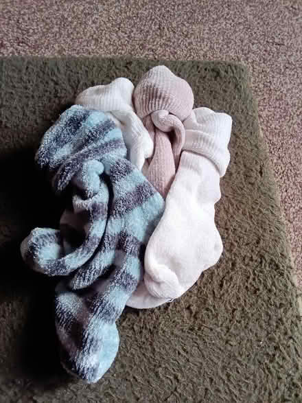 Photo of free 4 pairs of soft socks (Hester's Way GL51) #1