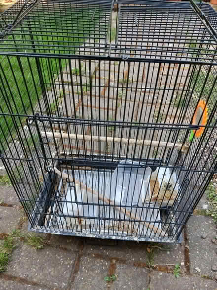 Photo of free Bird cage (Colchester CO1) #1