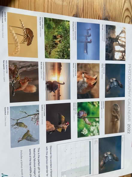 Photo of free Wildlife pictures (AB15) #1