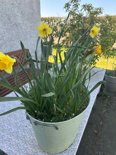Photo of free Garden planters x 2 (Weighbridge FK9) #3
