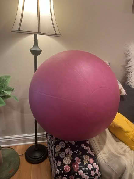 Photo of free pink Yoga ball (Campbell/Winchester) #1