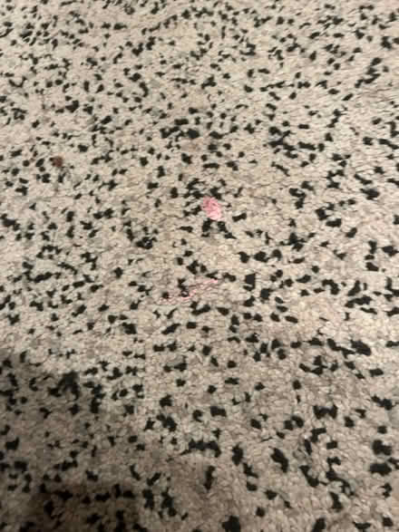 Photo of free Ikea Rug (Muswell Hill - N10) #2