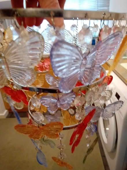 Photo of free Butterfly lamp shade (Orton Goldhay) #1