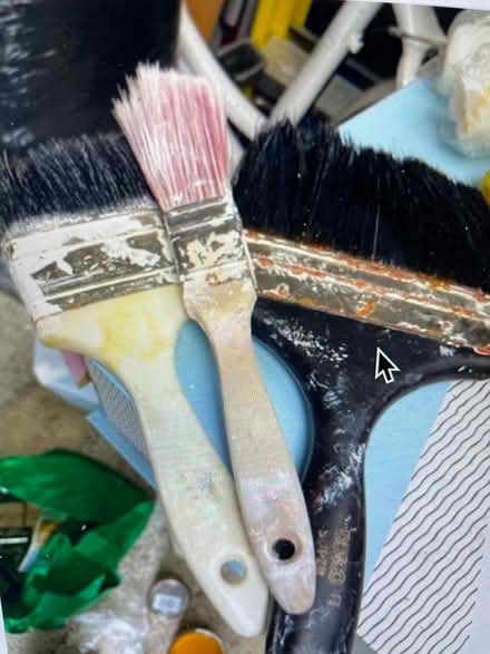 Photo of free Old paint brushes (Near St Endas park) #1