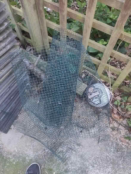 Photo of free 6-8m of chicken wire (Cowcliffe HD2) #1