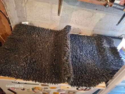 Photo of free Pet rugs (Threemilestone TR3) #3