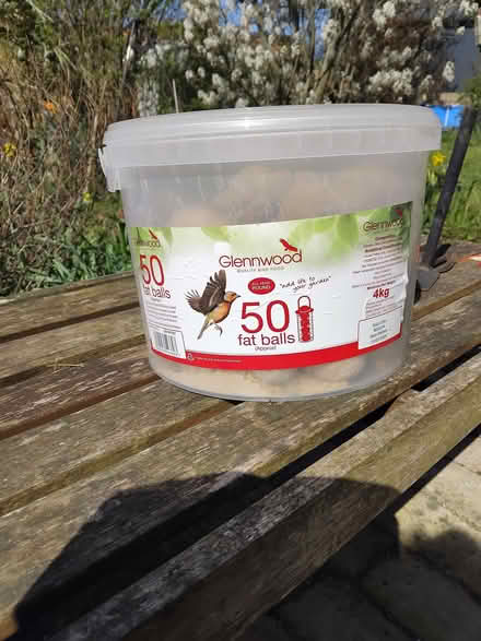 Photo of free Bird feed fat balls (Farleigh Hungerford BA14) #1