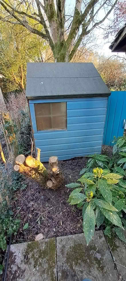 Photo of free Playhouse (Woodford GL13) #3