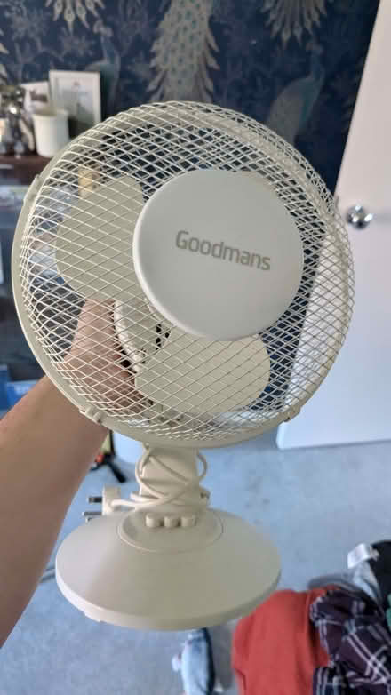 Photo of free Desk fan (Belle Vue WF1) #1