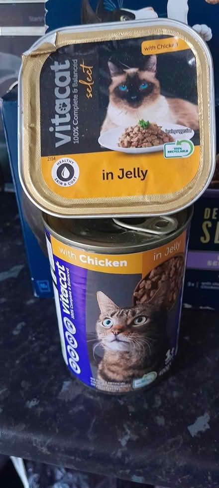 Photo of free Wet cat food (ST6) #3