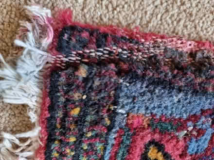 Photo of free Rug (Harrogate HG1) #2