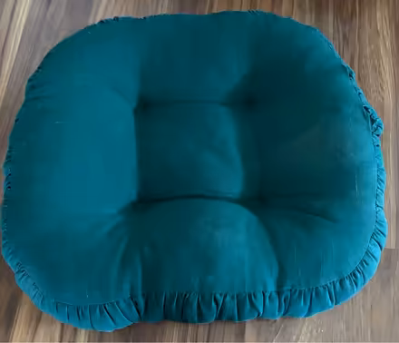 Photo of free chair pad (North Fontana) #1
