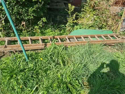 Photo of free Wooden double ladder (Chaddesden DE21) #2
