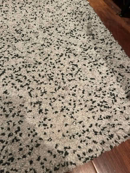 Photo of free Ikea Rug (Muswell Hill - N10) #3