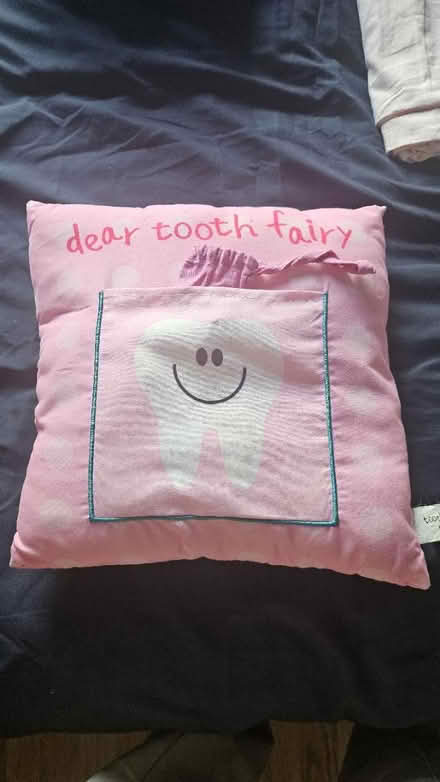 Photo of free Tooth fairy pillow (Isle of dogs E14) #1
