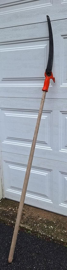 Photo of free Pole Saw (New Fairfield, CT) #1