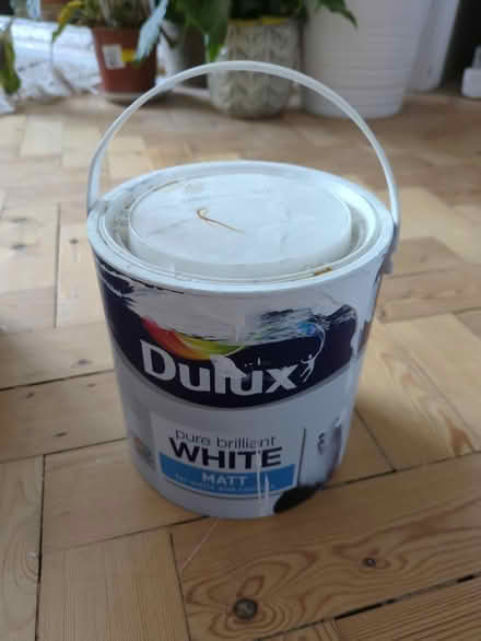 Photo of free White Matt Paint (Enfield EN2) #1