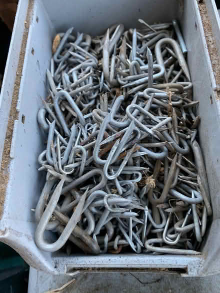 Photo of free Staples for fencing etc (Pebsham TN40) #1
